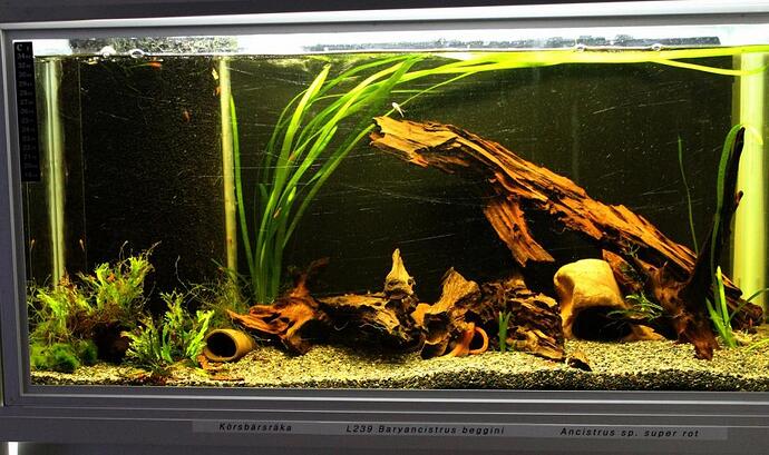 IMG_3299c.jpg
