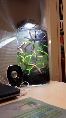 20141029_095558.jpg