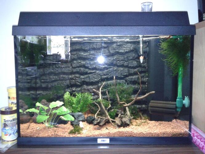 Juwel record 700.jpg