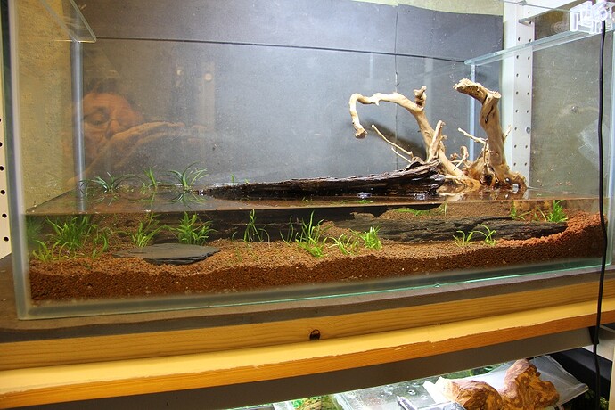 en bit pÃ¥ vÃ¤g.jpg