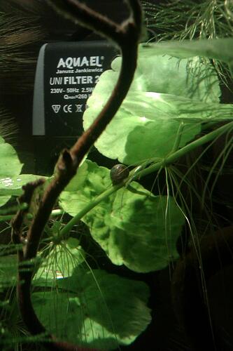 IMAG0435.jpg