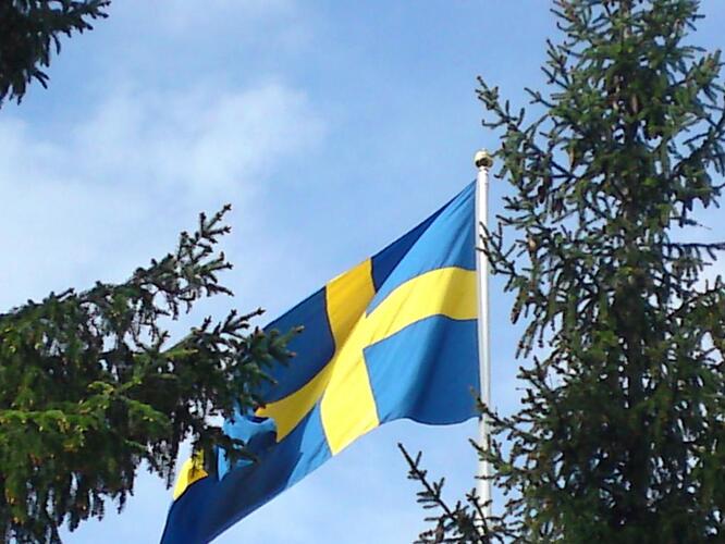 Telefonbilder c905 079.jpg