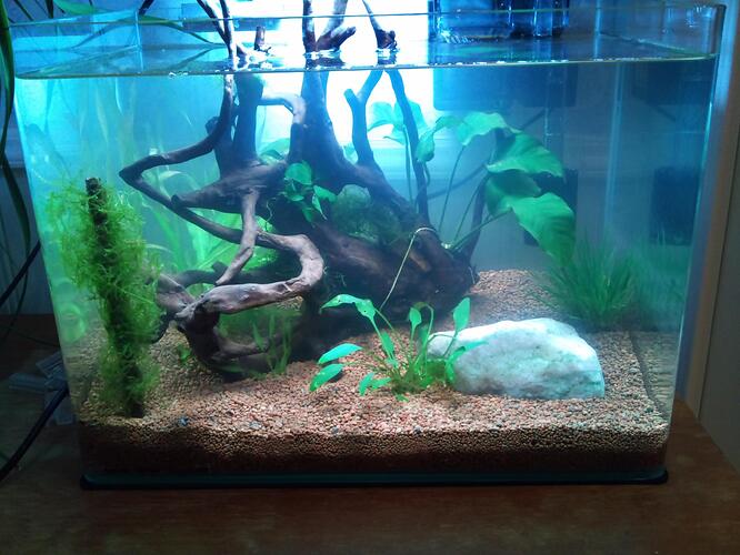 Copy of DSC_0047.jpg