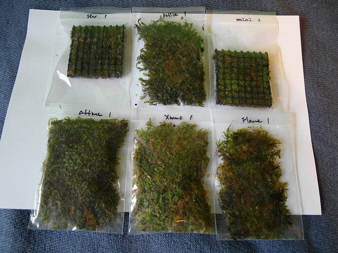 AquaticMagic Mossor  (2).jpg