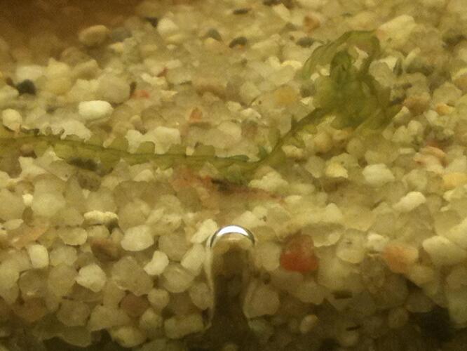 A2 2013-03-26 baby.jpg