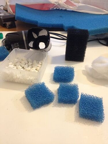 Mitt Sakura Kar - 038.jpg