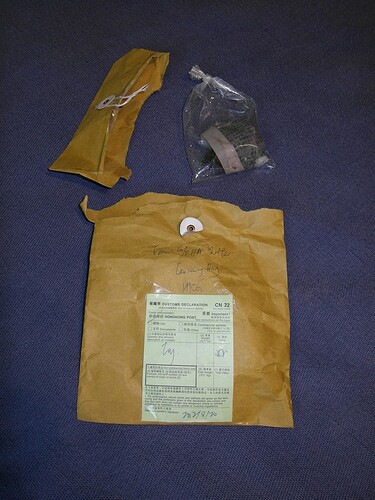 plagiomnium trichomanes 2.jpg