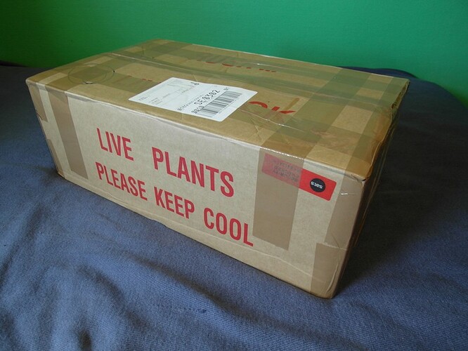 Aquaristic.net 22.jpg