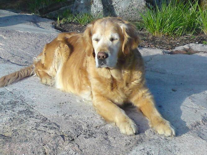 Telefonbilder c905 147.jpg