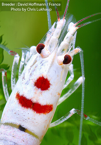 close small_filtered.jpg