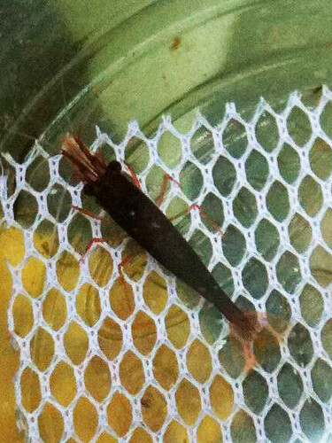 Photo mar 18, 1 50 52 fm.jpg