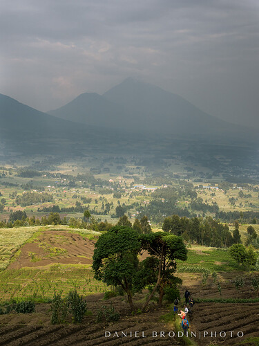 Rwanda-733.jpg