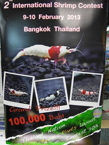 2 International Shrimp Contest 9-10 february BKK Thailand.jpg