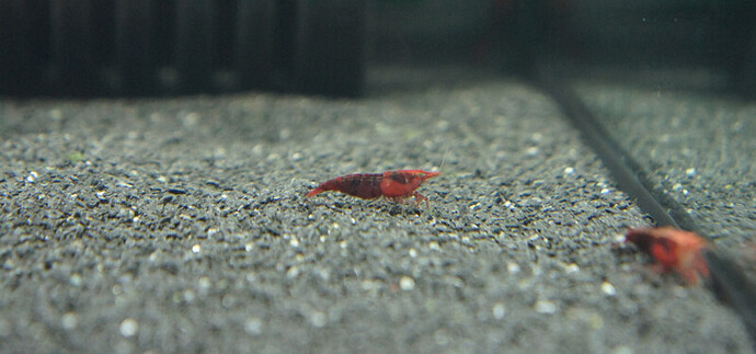 DSC01644.JPG