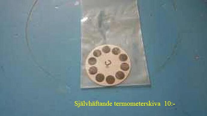 term_skiva.jpg