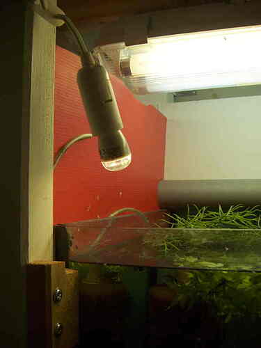 ledlampa.jpg
