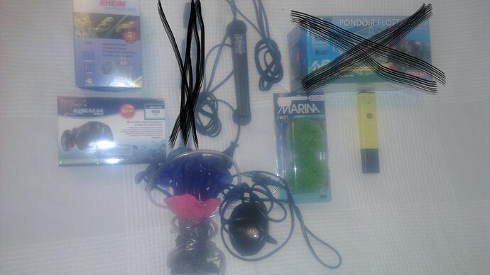 IMAG0879.jpg
