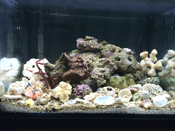 IMG_0961.jpg
