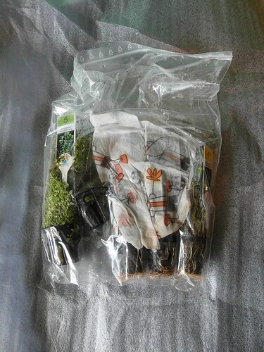 aquarisitic.net 8.jpg