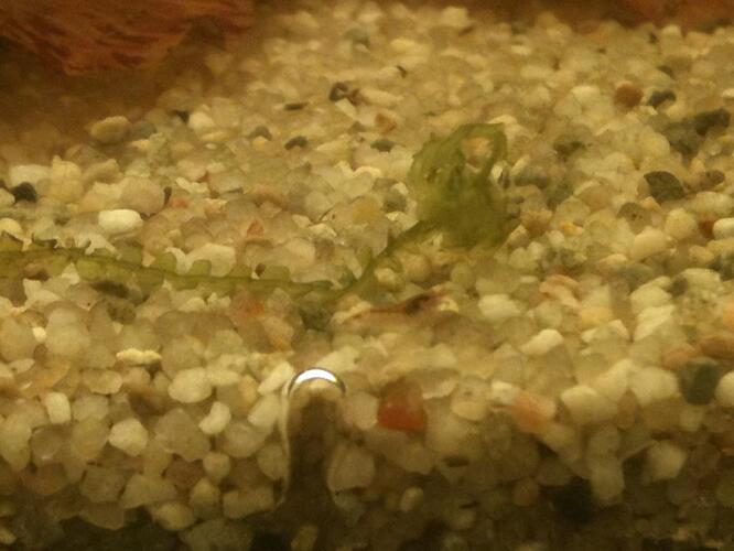 A2 2013-03-26 baby2.jpg