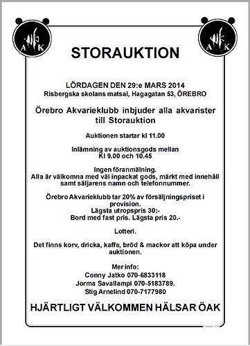 auktion2014.JPG