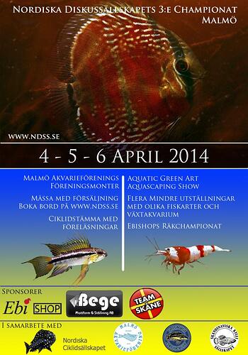 NDS_poster_Ciklidbladet.jpg