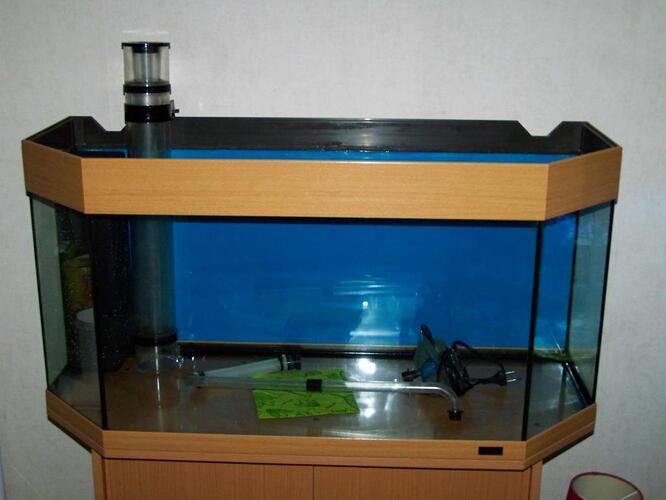 100_8654.jpg