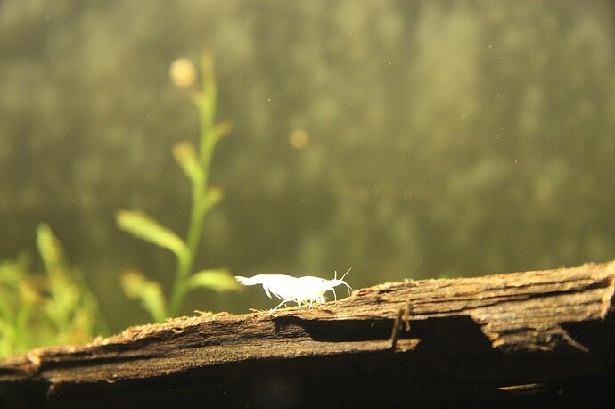 20120323 007.JPG