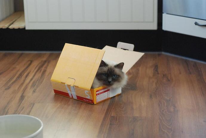 lamm och kaninungar 2011 268.jpg