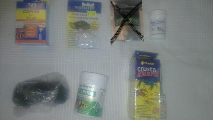 IMAG0880.jpg