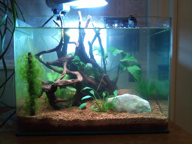 Copy of DSC_0050.jpg