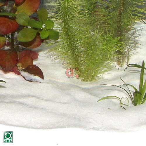 jbl-sansibar-bodengrund-snow-im-aquarium-6706000-100d2e2b.jpg