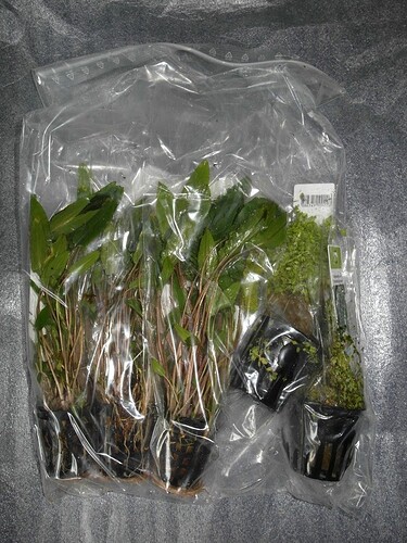 aquarisitic.net 10.jpg