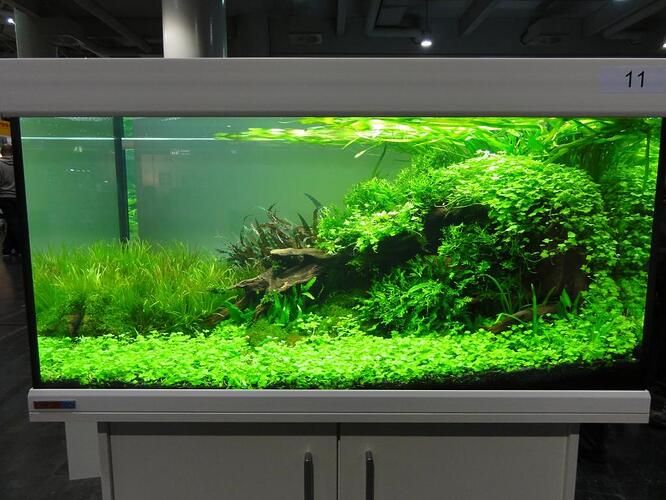 DSC01723.jpg