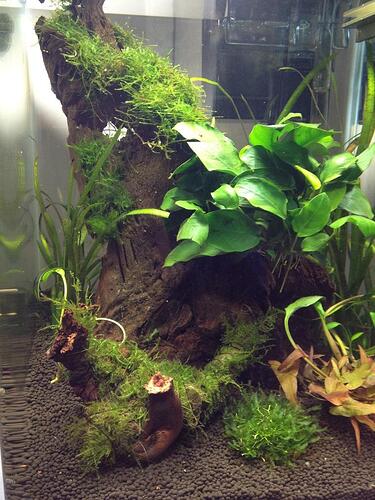 cocoon 31 2012-08-20.jpg