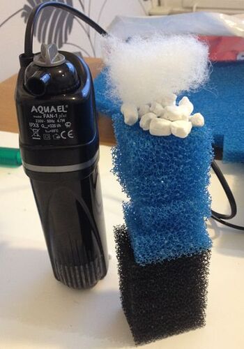 Mitt Sakura Kar - 040.jpg