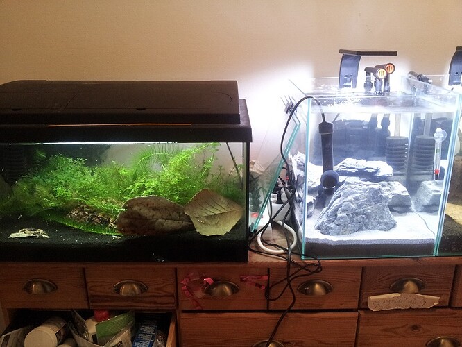t8 vs led.jpg