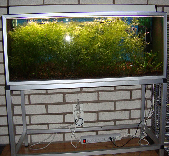akvarium.jpg
