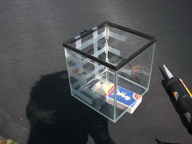 100_9532_resize_resize.jpg