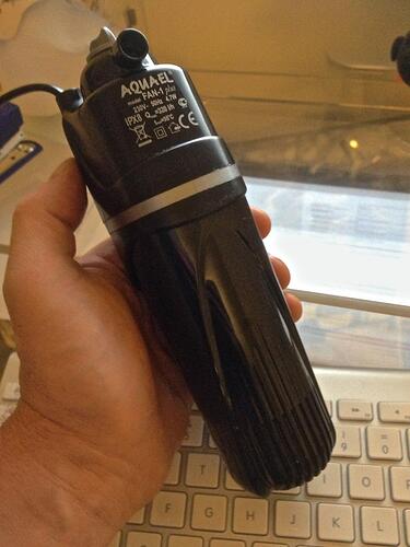 Mitt Sakura Kar - 13.jpg