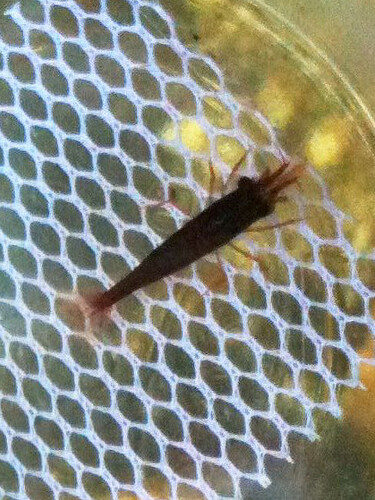 Photo mar 18, 1 49 51 fm.jpg