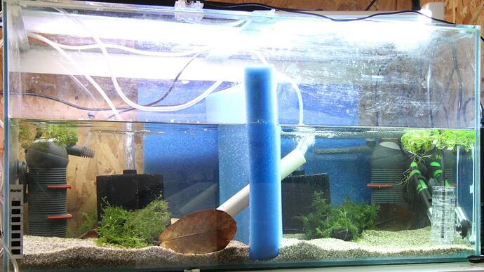 Blivande odlingskar.jpg