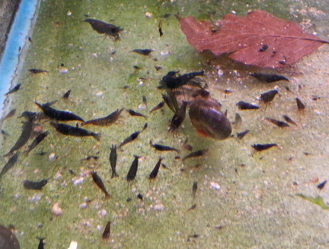 2014-06-06 12.02.36.png