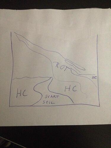 Mitt Sakura CO2 Kar 1.jpg