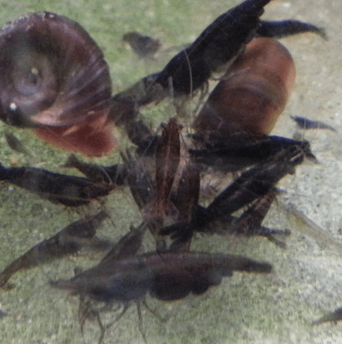 2014-04-30 13.11.44.png