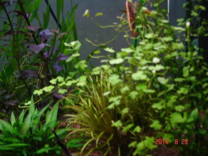 DSC03916.jpg